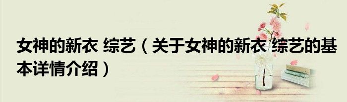 女神的新衣 综艺（关于女神的新衣 综艺的基本详情介绍）