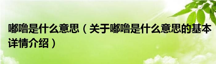 嘟噜是什么意思（关于嘟噜是什么意思的基本详情介绍）