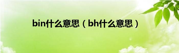 bin什么意思（bh什么意思）