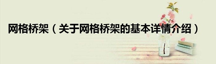 网格桥架（关于网格桥架的基本详情介绍）