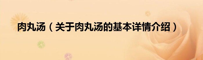 肉丸汤（关于肉丸汤的基本详情介绍）