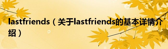 lastfriends（关于lastfriends的基本详情介绍）