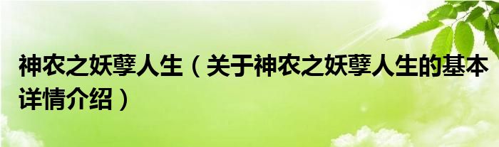 神农之妖孽人生（关于神农之妖孽人生的基本详情介绍）