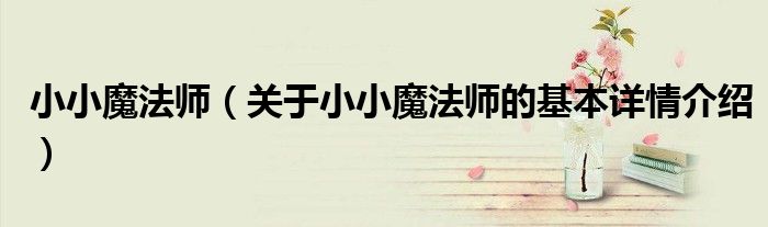 小小魔法师（关于小小魔法师的基本详情介绍）