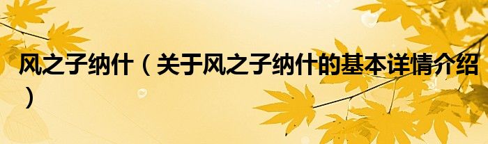 风之子纳什（关于风之子纳什的基本详情介绍）