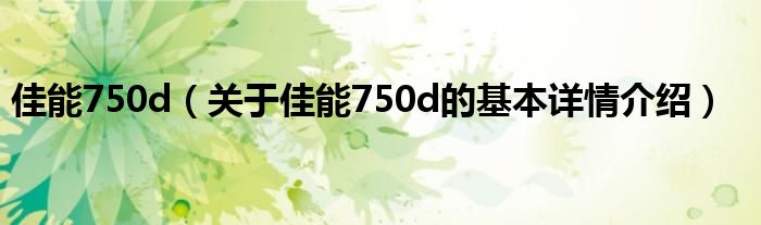 佳能750d（关于佳能750d的基本详情介绍）