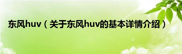 东风huv（关于东风huv的基本详情介绍）