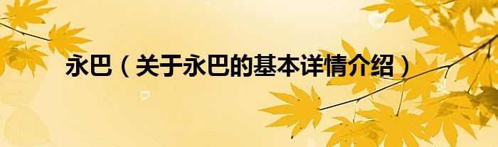 永巴（关于永巴的基本详情介绍）