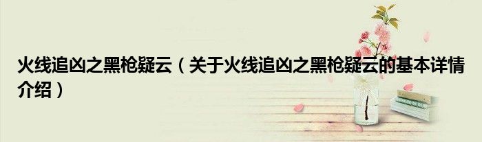 火线追凶之黑枪疑云（关于火线追凶之黑枪疑云的基本详情介绍）