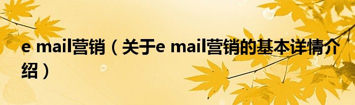 e mail营销（关于e mail营销的基本详情介绍）