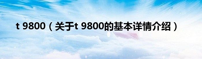 t 9800（关于t 9800的基本详情介绍）