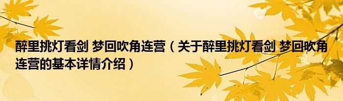 醉里挑灯看剑 梦回吹角连营（关于醉里挑灯看剑 梦回吹角连营的基本详情介绍）