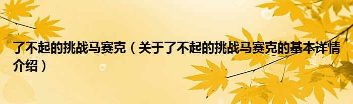 了不起的挑战马赛克（关于了不起的挑战马赛克的基本详情介绍）