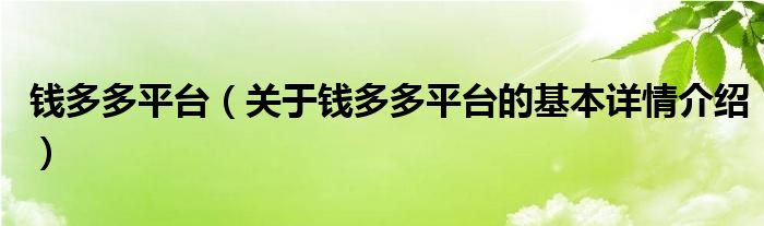 钱多多平台（关于钱多多平台的基本详情介绍）