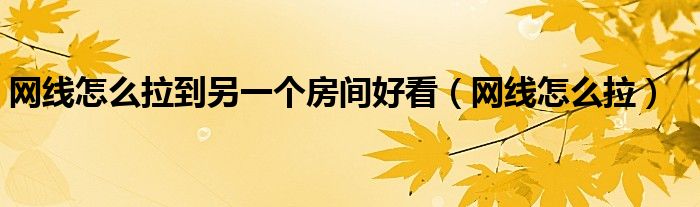 网线怎么拉到另一个房间好看（网线怎么拉）
