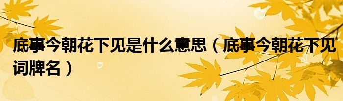 底事今朝花下见是什么意思（底事今朝花下见词牌名）
