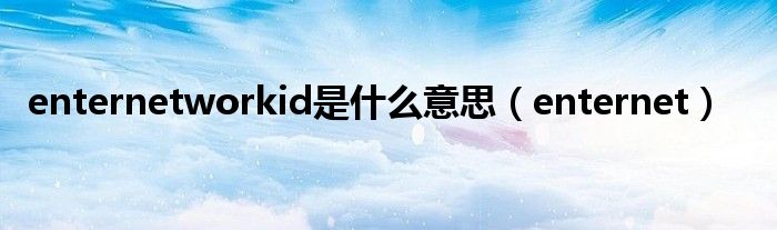 enternetworkid是什么意思（enternet）