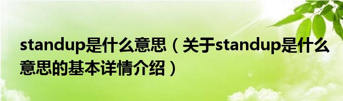 standup是什么意思（关于standup是什么意思的基本详情介绍）