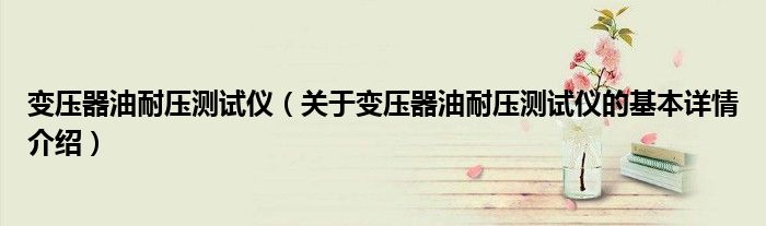 变压器油耐压测试仪（关于变压器油耐压测试仪的基本详情介绍）