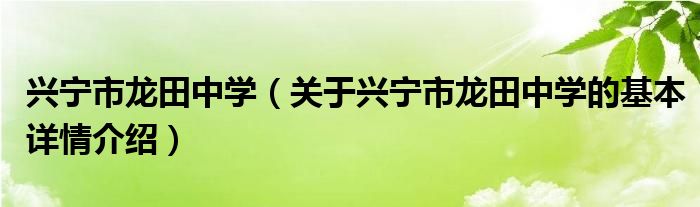 兴宁市龙田中学（关于兴宁市龙田中学的基本详情介绍）