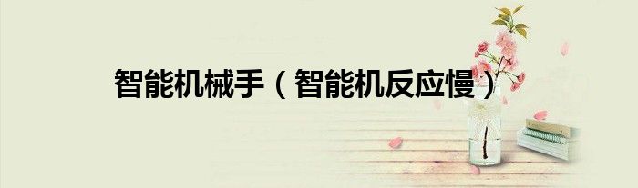 智能机械手（智能机反应慢）