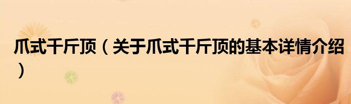 爪式千斤顶（关于爪式千斤顶的基本详情介绍）