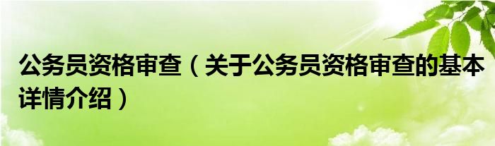 公务员资格审查（关于公务员资格审查的基本详情介绍）