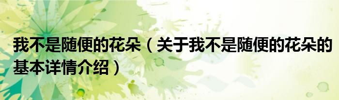 我不是随便的花朵（关于我不是随便的花朵的基本详情介绍）