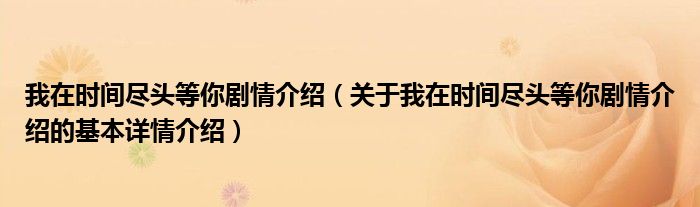 我在时间尽头等你剧情介绍（关于我在时间尽头等你剧情介绍的基本详情介绍）