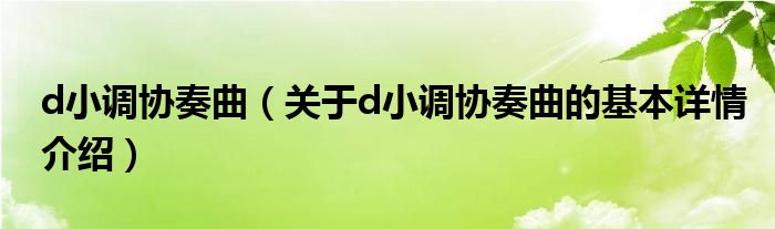d小调协奏曲（关于d小调协奏曲的基本详情介绍）