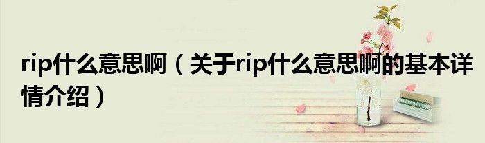 rip什么意思啊（关于rip什么意思啊的基本详情介绍）