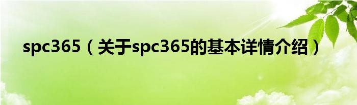 spc365（关于spc365的基本详情介绍）