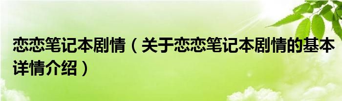 恋恋笔记本剧情（关于恋恋笔记本剧情的基本详情介绍）