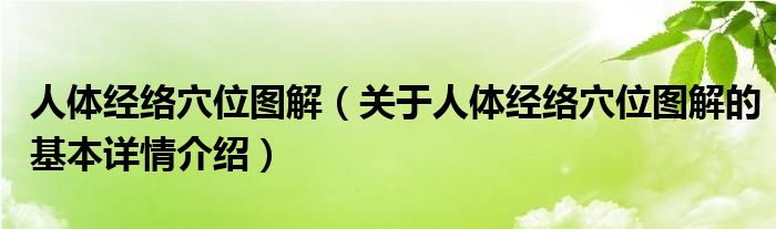 人体经络穴位图解（关于人体经络穴位图解的基本详情介绍）