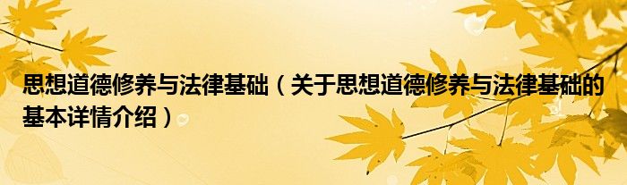 思想道德修养与法律基础（关于思想道德修养与法律基础的基本详情介绍）
