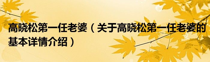 高晓松第一任老婆（关于高晓松第一任老婆的基本详情介绍）