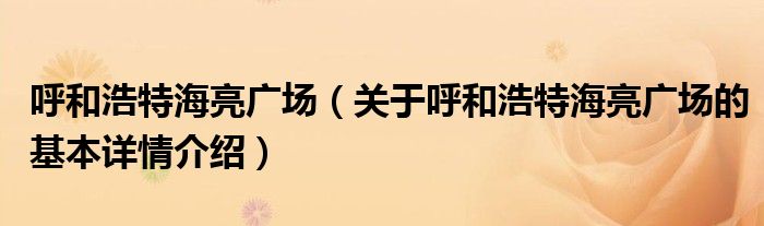 呼和浩特海亮广场（关于呼和浩特海亮广场的基本详情介绍）