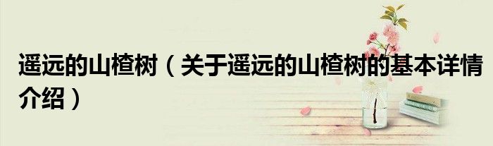 遥远的山楂树（关于遥远的山楂树的基本详情介绍）