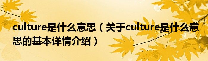 culture是什么意思（关于culture是什么意思的基本详情介绍）