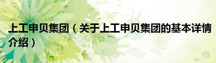 上工申贝集团（关于上工申贝集团的基本详情介绍）