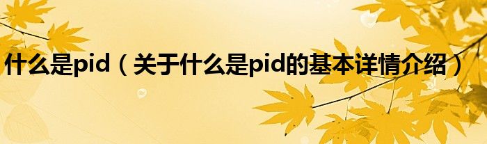 什么是pid（关于什么是pid的基本详情介绍）