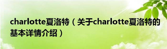 charlotte夏洛特（关于charlotte夏洛特的基本详情介绍）