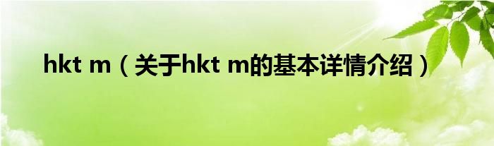 hkt m（关于hkt m的基本详情介绍）