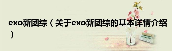 exo新团综（关于exo新团综的基本详情介绍）