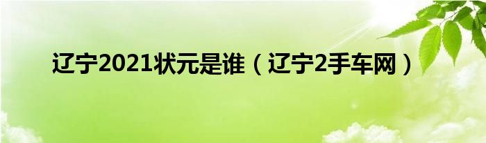 辽宁2021状元是谁（辽宁2手车网）