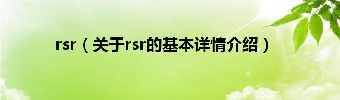 rsr（关于rsr的基本详情介绍）