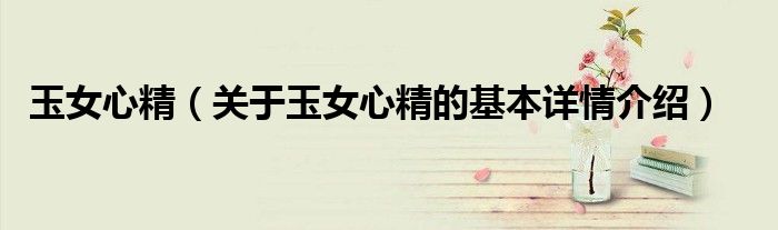 玉女心精（关于玉女心精的基本详情介绍）