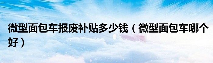 微型面包车报废补贴多少钱（微型面包车哪个好）