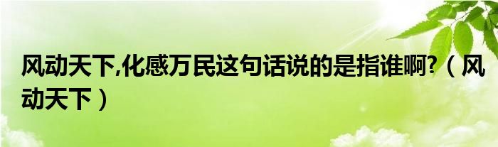 风动天下,化感万民这句话说的是指谁啊?（风动天下）