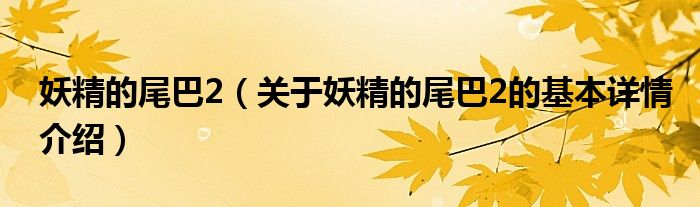 妖精的尾巴2（关于妖精的尾巴2的基本详情介绍）